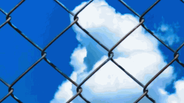 去年の夏の走馬灯