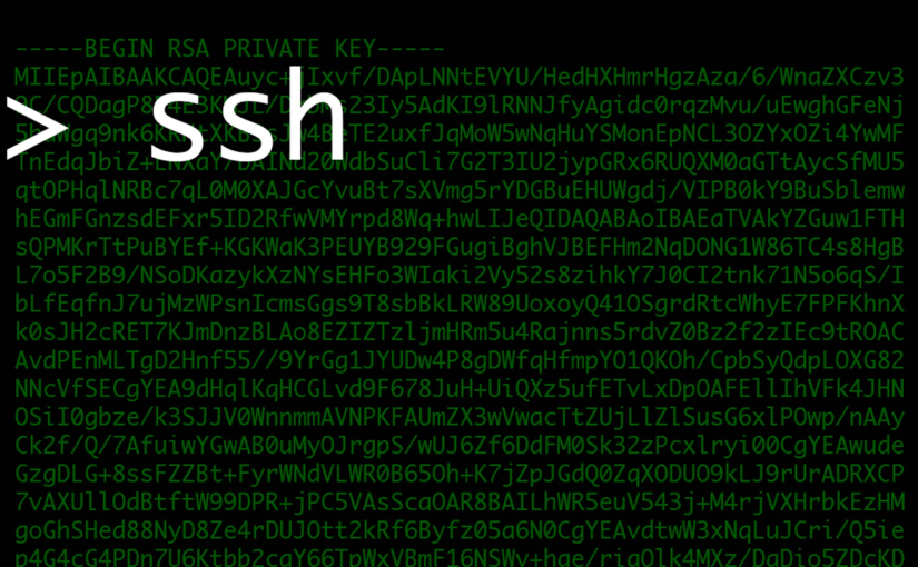 PVE新安装的Debian(適用於Linux)，SSH服务已开启，密码正确却无法登陆